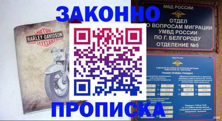 прописка для школы в Называевске